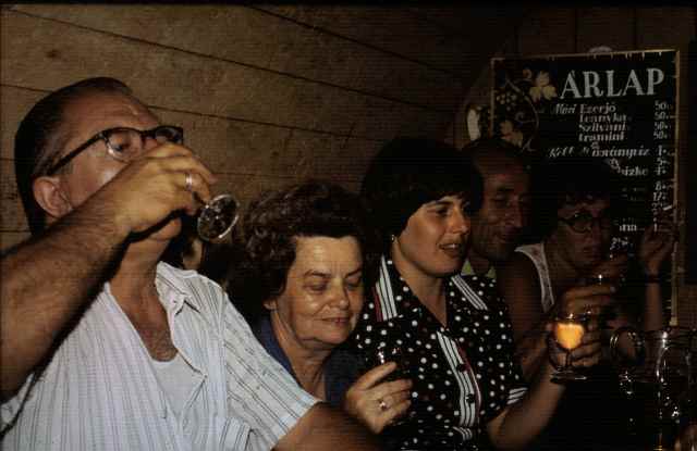 mori ezerjo2.jpg